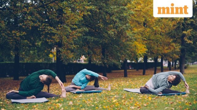 Ngày Yoga 2026: Từ ngày tháng, lịch sử, ý nghĩa,