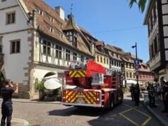 Obernai. Một con cò là nạn nhân của đợt nắng nóng? Báo động sai cho lính cứu hỏa