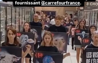 Seine-et-Marne. Tố cáo chăn nuôi thâm canh, L214 tấn công đại siêu thị Carrefour lớn nhất nước Pháp