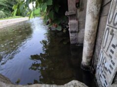 Sóng nhiệt. Tình hình đang trở thành ranh giới đối với một số loài cá ở Trung tâm Alsace