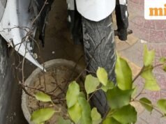 Tai nạn kinh hoàng của UP: Cặp đôi bị kéo lê 100 mét đến chết sau khi xe tải tông vào xe đạp ở Gorakhpur; đứa trẻ chiến đấu vì sự sống