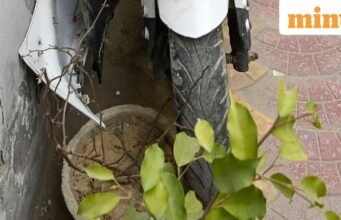 Tai nạn kinh hoàng của UP: Cặp đôi bị kéo lê 100 mét đến chết sau khi xe tải tông vào xe đạp ở Gorakhpur; đứa trẻ chiến đấu vì sự sống