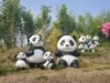 Thông tin tham quan | Đi đến hồ bơi hoặc đến Beauval: cách tận hưởng mùa hè này ở Touraine mà không cần xe hơi
