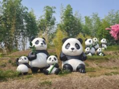 Thông tin tham quan | Đi đến hồ bơi hoặc đến Beauval: cách tận hưởng mùa hè này ở Touraine mà không cần xe hơi