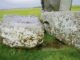 Từ phía bắc Scotland đến đồng bằng Salisbury: bí ẩn về nguồn gốc của hòn đá trung tâm Stonehenge cuối cùng đã được giải đáp