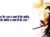 Tục ngữ Nhật Bản thời đó: “Cá hợp nước thì nước…”; ý nghĩa và tại sao nó vẫn còn quan trọng cho đến ngày nay