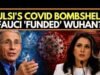 Tulsi Gabbard tuyên bố Anthony Fauci hỗ trợ nghiên cứu Vũ Hán, ngăn chặn bằng chứng rò rỉ phòng thí nghiệm COVID
