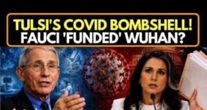 Tulsi Gabbard tuyên bố Anthony Fauci hỗ trợ nghiên cứu Vũ Hán, ngăn chặn bằng chứng rò rỉ phòng thí nghiệm COVID