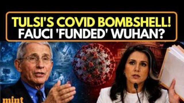 Tulsi Gabbard tuyên bố Anthony Fauci hỗ trợ nghiên cứu