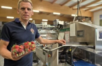 Wissembourg. Fraisal, 40 năm phiêu lưu của gia đình sinh ra từ quả dâu tây