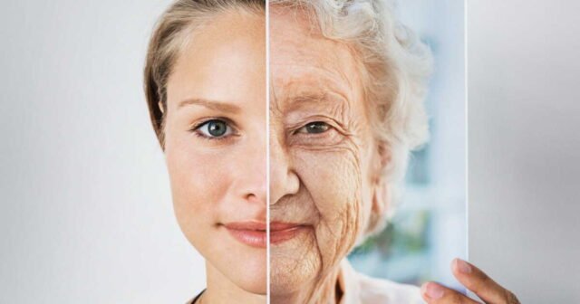 L'Oréal, Axa… Trên thị trường chứng khoán, cổ phiếu ở