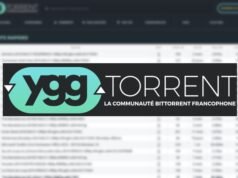 YggTorrent: hiến binh thông báo 12 vụ bắt giữ và tịch thu tiền điện tử