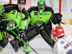 Khúc côn cầu trên băng – Division 1. Wildcats Epinal: Martin Charpentier tiếp quản mùa giải thứ mười lăm