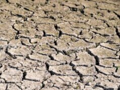 LHQ cảnh báo hiện tượng El Niño hiện tại sẽ gia tăng vào mùa hè này