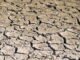 LHQ cảnh báo hiện tượng El Niño hiện tại sẽ gia tăng vào mùa hè này