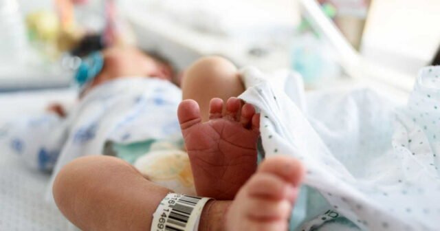 Nghỉ sinh: tại sao hệ thống mới lại khiến một