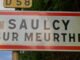 Vosges. Bạn có biết thị trấn Saulcy-sur-Meurthe được đặt tên ở đâu không?