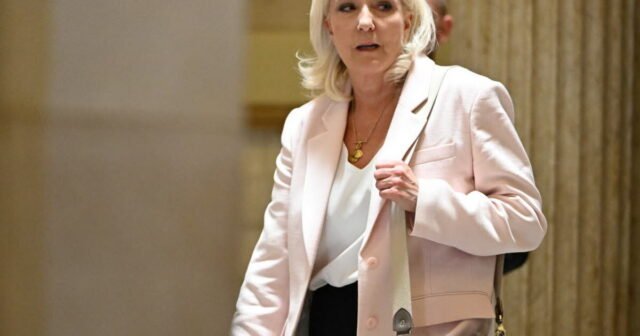 Hoạt động kamikaze của Marine Le Pen