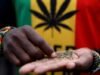 Cần sa công nghiệp ở Ghana?