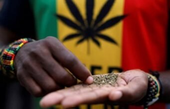 Cần sa công nghiệp ở Ghana?