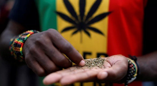 Cần sa công nghiệp ở Ghana?