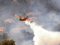 Cháy rừng ở Fontainebleau: khám phá những hình ảnh ấn tượng về những người Canadair được giải cứu khỏi sông Seine