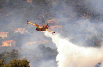 Cháy rừng ở Fontainebleau: khám phá những hình ảnh ấn tượng về những người Canadair được giải cứu khỏi sông Seine