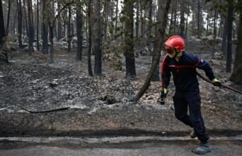 Khí hậu sống. Ba vụ cháy “vừa phải” ở rừng Fontainebleau