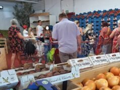 Rau quả tươi của Diagonal đã được Sofiane chuyển về Bergamote