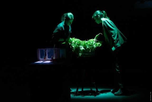 “Sự im lặng của Claire Lagrange” của Céline Delbecq, hùng