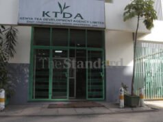 KTDA nhập khẩu 1,9 triệu bao phân bón cho chè nhỏ