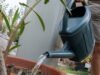 đây là lý do tại sao không phải tất cả các khu vực của Eurometropolis đều có liên quan