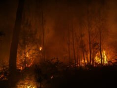 Một nhà khí hậu học giải thích: “Không có gì ngạc nhiên, IPCC nói rằng nguy cơ hỏa hoạn dự kiến sẽ tăng ở tất cả các nước châu Âu”.