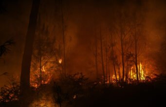 Một nhà khí hậu học giải thích: “Không có gì ngạc nhiên, IPCC nói rằng nguy cơ hỏa hoạn dự kiến sẽ tăng ở tất cả các nước châu Âu”.