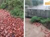 3.000 bình LPG trôi nổi trong nước lũ ở Mumbai tái hiện cảnh Pushpa, internet phản ứng: ‘Không phải gỗ đàn hương, mà là…’