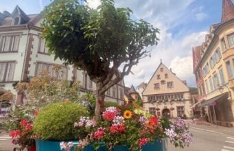 Alsace. Các thị trấn và làng mạc nở rộ ở Alsace: danh sách đầy đủ năm 2026