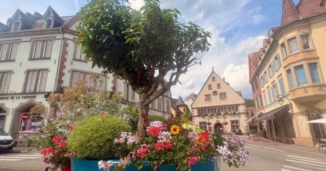 Alsace. Các thị trấn và làng mạc nở rộ ở
