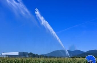Alsace. Hạn hán: vì sao một số nông dân vẫn tưới nước bất chấp lệnh cấm?