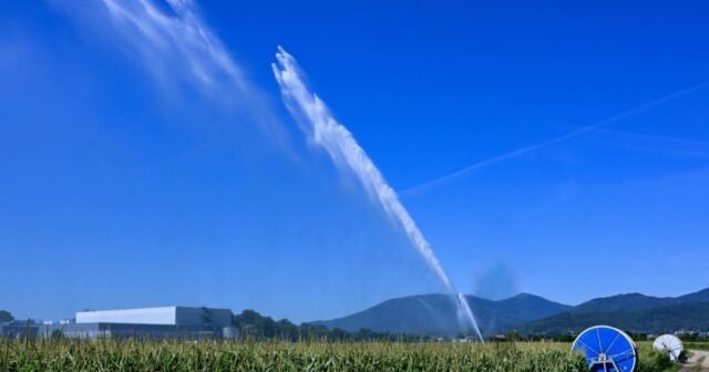 Alsace. Hạn hán: vì sao một số nông dân vẫn