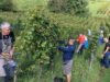 Alsace. Vụ thu hoạch đến sớm, Alsace Vendanges mở cửa ngày càng sớm hơn