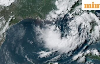 Cảnh báo Bão nhiệt đới được ban hành cho Florida Panhandle khi Fausto mạnh lên trên Vịnh Mexico