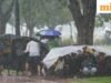 Cập nhật gió mùa Delhi: IMD dự báo mưa vừa đến mưa to kèm theo giông; Người dân Delhi sẽ giảm bớt cái nóng