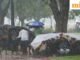 Cập nhật gió mùa Delhi: IMD dự báo mưa vừa đến mưa to kèm theo giông; Người dân Delhi sẽ giảm bớt cái nóng