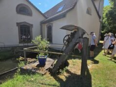 Chặt hạ. Công viên Wesserling dọc theo mặt nước