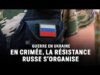 Chiến tranh ở Ukraine: ở Crimea, cuộc kháng chiến của Ukraine chống lại người Nga được tổ chức