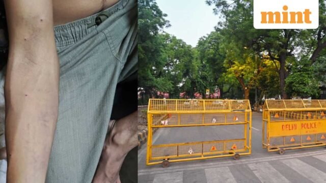 Cuộc biểu tình của CJP: một người biểu tình khác