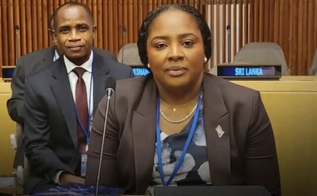 Haiti tái khẳng định với ECOSOC cam kết phát triển