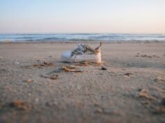 Hiệp định Le Touquet: ủy ban điều tra ghi nhận sự thất bại của toàn bộ an ninh ở biên giới Pháp-Anh