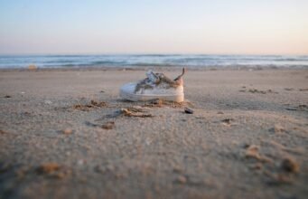 Hiệp định Le Touquet: ủy ban điều tra ghi nhận sự thất bại của toàn bộ an ninh ở biên giới Pháp-Anh