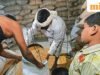 Hội đồng nghị viện yêu cầu Trung tâm tăng tốc độ đại tu kỹ thuật số của hệ thống phân phối công cộng